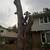 Arborist 1 thumbnail
