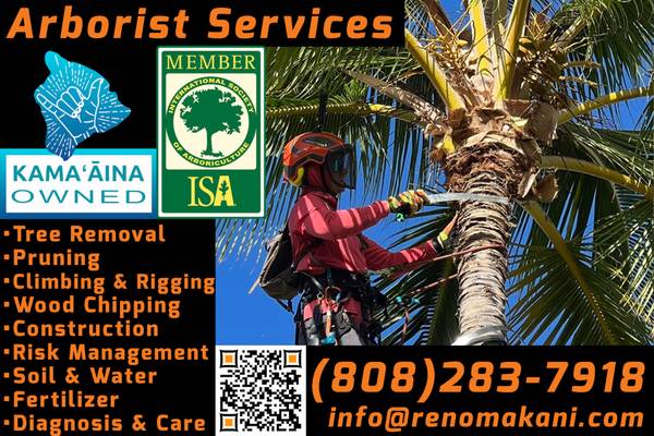 ARBORIST & TREE SERVICES 🌳 1