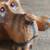 Big Sky Carvers Wood Purdy Dog 2 thumbnail