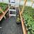 Warrenton Plants Nursery Nurseries 10 thumbnail