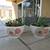 Pair Of Beige Flower Print Garden Pots With Succulents 1 thumbnail