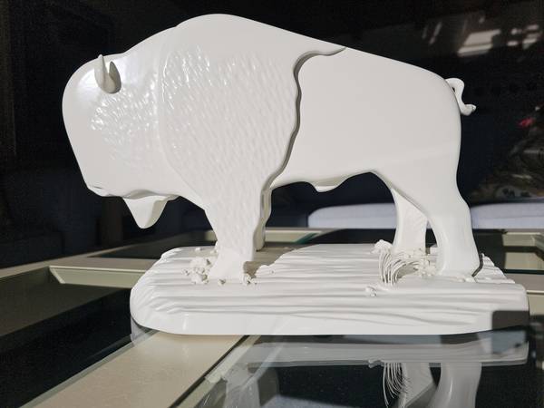 White American Bison 1