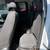 POST FALLS MOTORS. COM 2022 Chevrolet Colorado Extended Cab LT Pickup 6 thumbnail