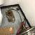 RESIDENCIAL plumbing and sewer and drain cleaning 17 thumbnail