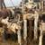Failing 750 water well drilling rig 2 thumbnail