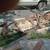 1928 -1929 Model A  rolling chassis  in pieces 6 thumbnail