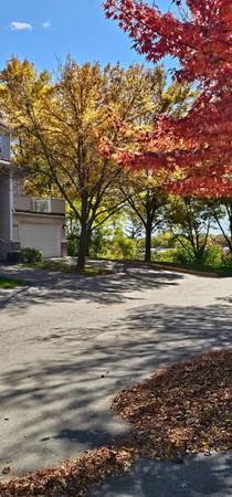 $2,099 / 3br - 1600ft2 - Newer 3BR Townhome with Basement- Quiet Dead End Street in Great Area! (Chanhassen)64149609470722121