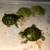 Exotic turtles 4 thumbnail