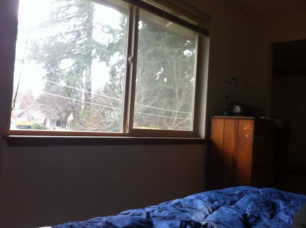 $775 / 1br - Light filled, quiet, low allergen room (West Olympia)63786943688577124