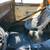 1976 Ford F250 16 thumbnail