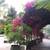 Creative Live/Work Home or Office Space - Pet Friendly 12 thumbnail