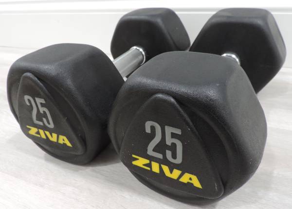 Ziva 25lb Dumbbells (x2) 1