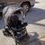 Graco Room For 2 Stroller 4 thumbnail