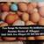 Eggs for Sale 1 thumbnail