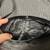 Michael Kors Black Pebbled Leather Bedford Crossbody Shoulder Bag Purse 7 thumbnail