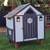 Chicken coop. Ready Today. Duck 🦆 House. 24 thumbnail