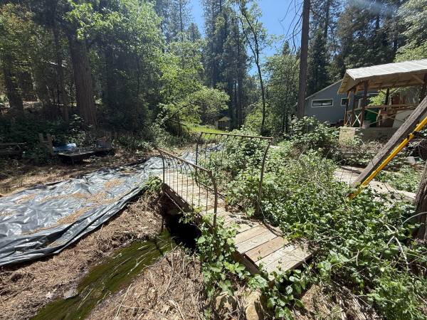 $45,000 Small Lot Near Town Center with Shed and Power Nearby (Grass Valley)63952102644739124