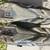 specialized mtb shoes 3 thumbnail