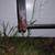 free iron railings 4 thumbnail