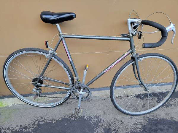 Smooth Schwinn World Sport 22" Frame 1