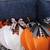 🎃 GREAT PUMPKIN PATCH PUMPKINS $50 EACH/ 6 FOR $225 5 thumbnail