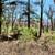 Vacant Duplex Lot in Waterfront Condo Community 3 thumbnail