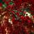 CHRISTMAS Decoration LOT Red Ruby Gold Star Garland Wreath Ornament 8 thumbnail