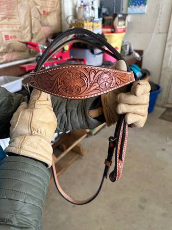 Leather Headstall 1