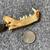 Animal Jaw Bone 2 thumbnail