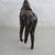 Vtg Leather Covered Horse Figure With English Saddle 13" Length 5 thumbnail
