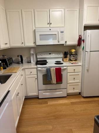 $2,772 / 1br - Big 1bd/1bth in Coolidge Corner- available Nov 1 (full apt for rent) (Coolidge Corner)63690793355393123