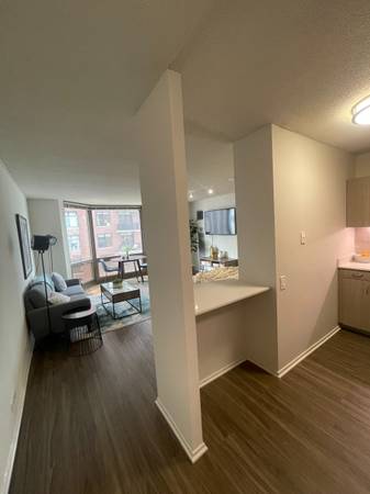 $1,850 / 529ft2 - studio in Gold Coast w ss appliances, hw floors, and pet friendly (Gold Coast)63781655052675121