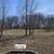 Brush Clearing and Skid Steer Work 2 thumbnail