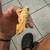 Crested Geckos 11 thumbnail