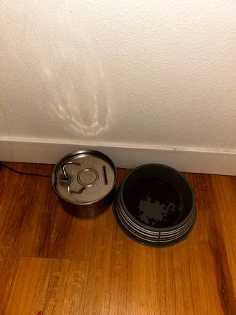 Free Cat to good home (1yr old) (Tacoma)63853557713411123