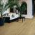 Mohawk Sierra Palms 8 Inch Wide European Style Oak Hardwood Flooring 1 thumbnail