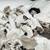 (3pc) Photo Imposed Pillows Of Tribal Children 18 thumbnail