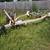 15' Boat Trailer 1 thumbnail