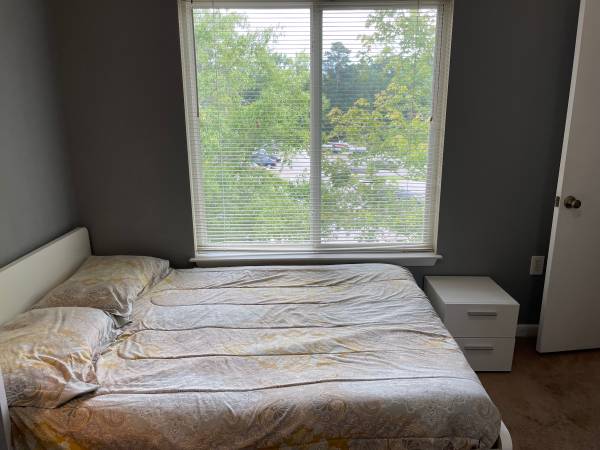 $550 / 1 habitación - Habitación con baño privado adjunto cerca de NCSU, línea de autobús, centro comercial (Raleigh)63470392563075122