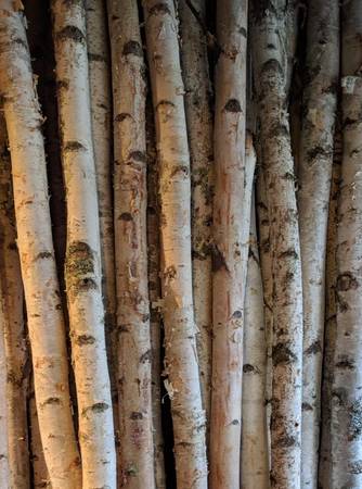 Birch Log Pole 8ft x 3in 1