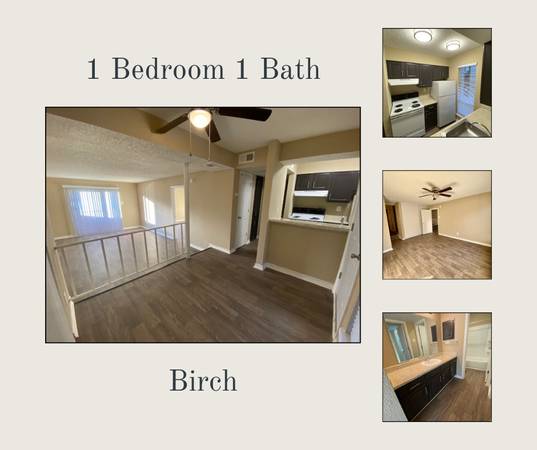 $975 / 688ft2 - $0 Admin Fee + $100 Off Monthly Rent + $250 Additional Off 1st Month (5951 Melody Lane Dallas, TX)63796257283587121