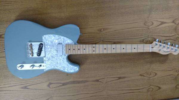 Fender Telecaster Am. Pro sonic grey customized, HS case included 1