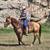 Family Horses 5 thumbnail