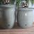 Bearfoots Moose Canisters 4 thumbnail