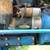 1981 FORD 1500 4x4 Diesel Tractor w/ Bucket,1045 hours,well maintained 5 thumbnail