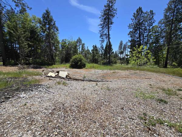 $35,000 Escape to Paradise Pines - Beautiful .26-acre corner lot on a quiet cu (Magalia)63900311969283123