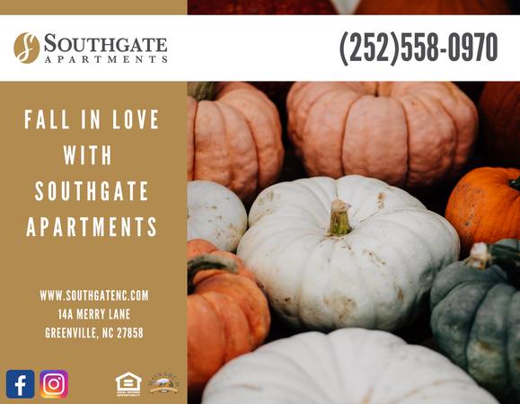 $1,170 / 1br - 700ft2 - It's Time To FALL In Love With Southgate! (Time)63948356030851120