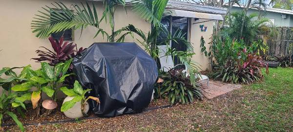 $1195.00 / 300ft2 - STUDIO-MOVIN READY63769617759875121