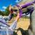 Blue roan 4 thumbnail