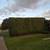 Pruning. Trees, Shrubs, and Arbor Vitae Specialist 13 thumbnail